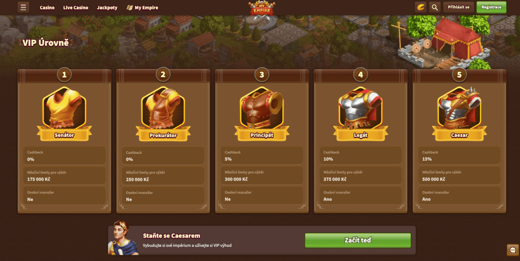 VIP program
