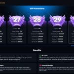 VIP program