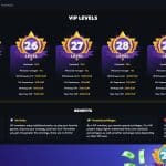 VIP program