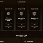 VIP program