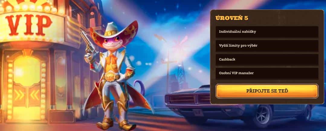 VIP program