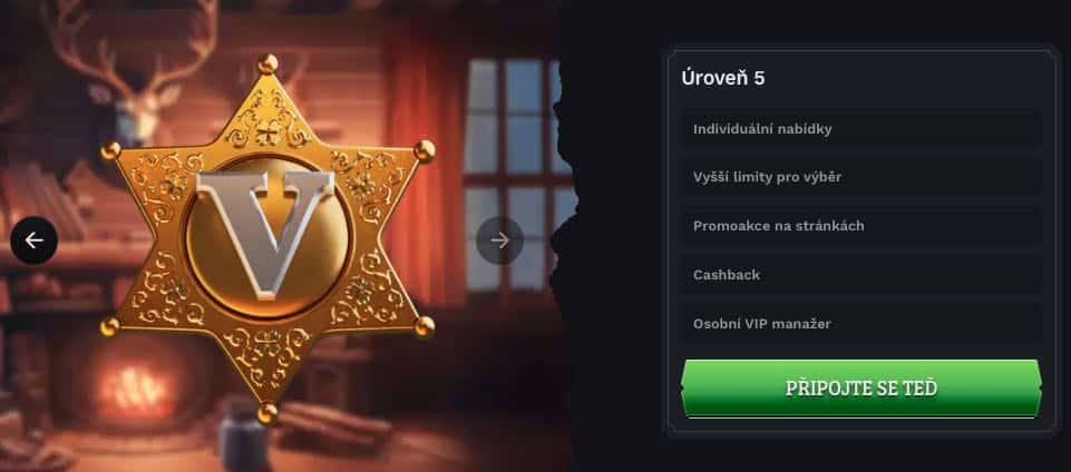 VIP program