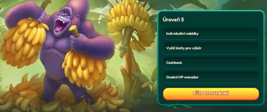 VIP program