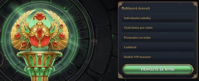 VIP program