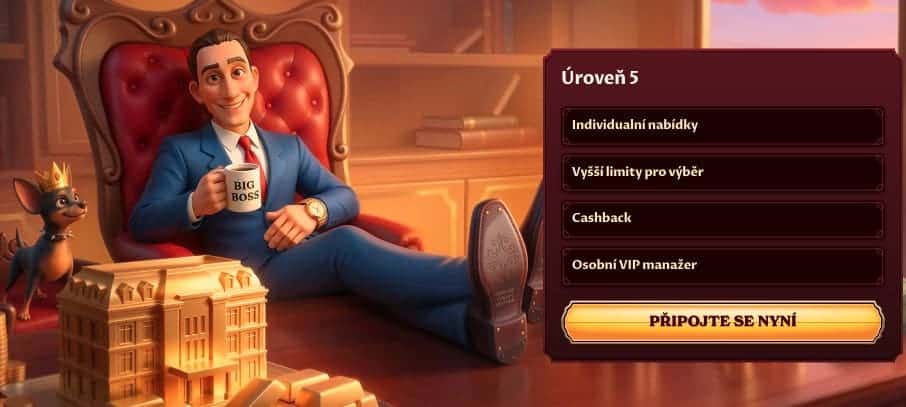 VIP program