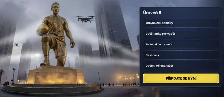 VIP program
